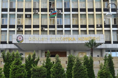 İşsizliyə görə müavinətin orta məbləği azalıb