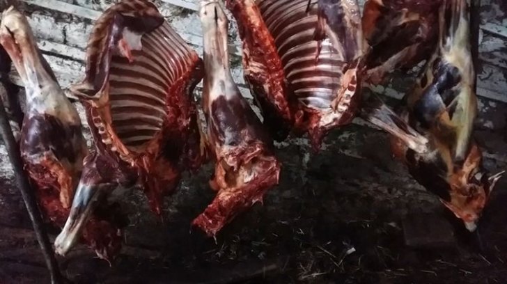 Dövlət Xidməti Cəlilabadda at əti aşkarlanması barədə məlumat yayıb
