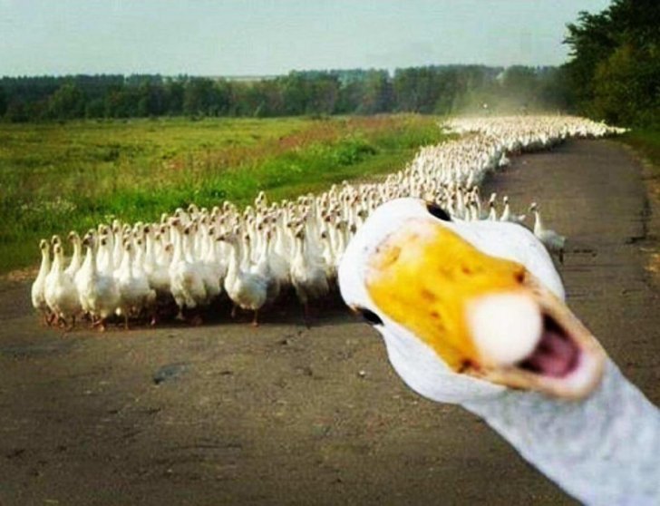 Zamanında çəkilən təkrarsız Zamanında çəkilən təkrarsız