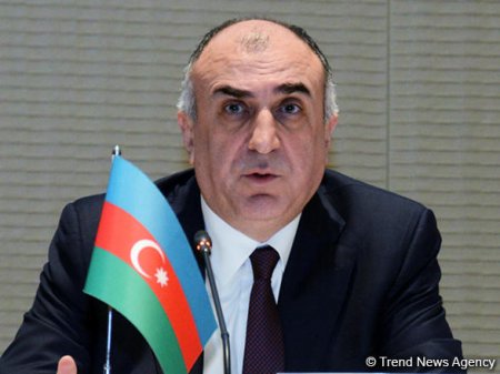 Elmar Məmmədyarov Litvaya gedib