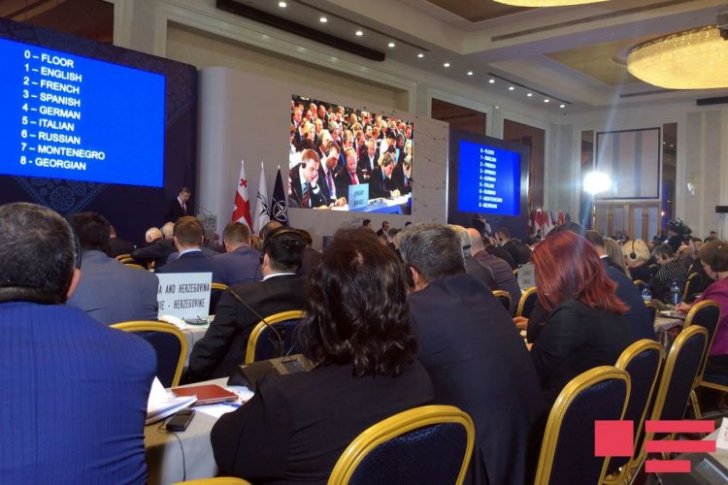 Tiflisdə keçirilən NATO PA-nın sessiyası başa çatıb