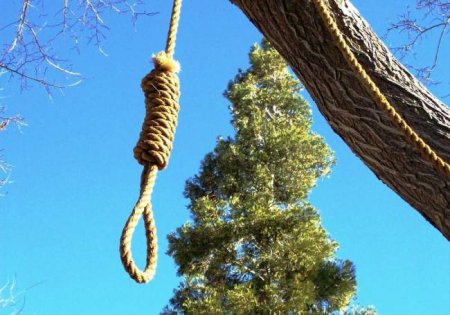 Bakıda ana və oğul eyni ağacdan özlərini asdılar -