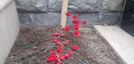 Azərbaycanda bəzi məzarlar açılacaq