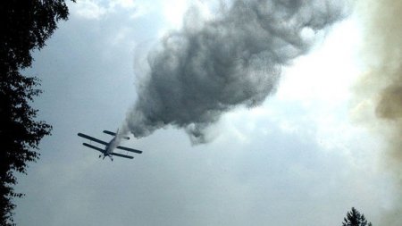 Rusiyada təyyarə qəzaya uğrayıb, ölənlər var