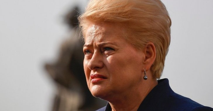 Litva prezidenti: Rusiya başlıca problemdir
