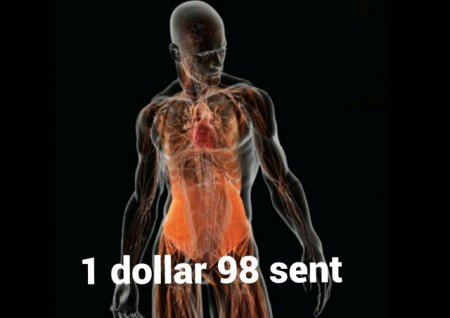 Cəmisi 1 dollar 98 sent -
