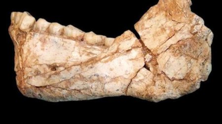 Ən qədim insan skeleti tapıldı - 