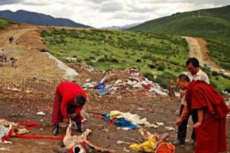 Ölüləri doğrayıb quşlara yem edirlər – DƏHŞƏT SAÇAN AYİNDƏN GÖRÜNTÜLƏR –