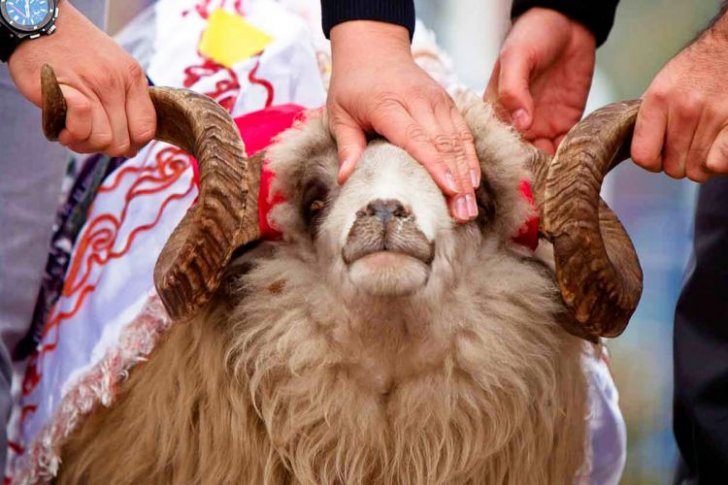 Qurban bayramı ilə əlaqədar