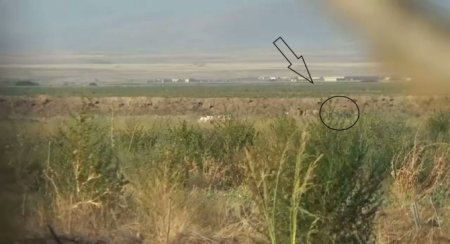 Cəbhədə erməni əsgər başından belə vuruldu -