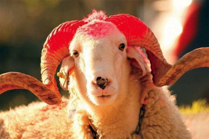 Azərbaycanda Qurban bayramı