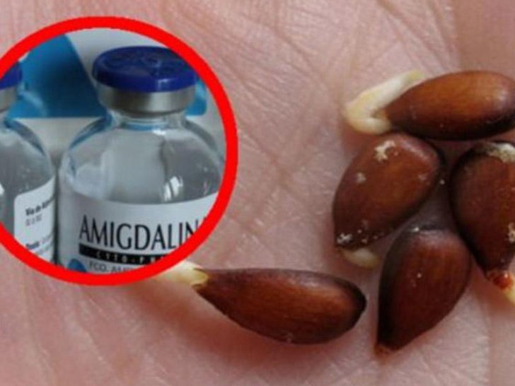 Xərçəngi müalicə edən vasitə illərdir niyə