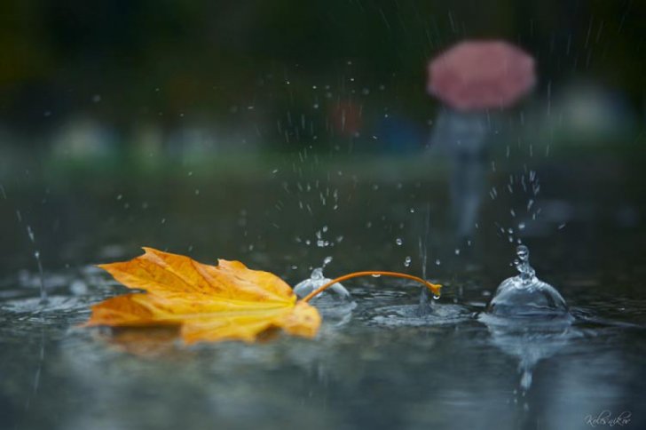 Hava şəraiti kəskin pisləşəcək, bəzi yerlərdə qar yağacaq -