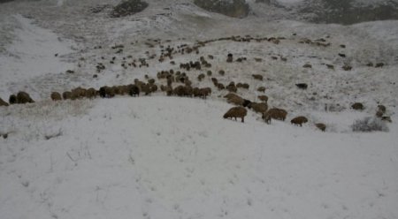 Azərbaycana ilk qar yağıb - 