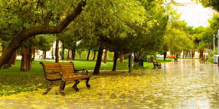 Sabahın havası -