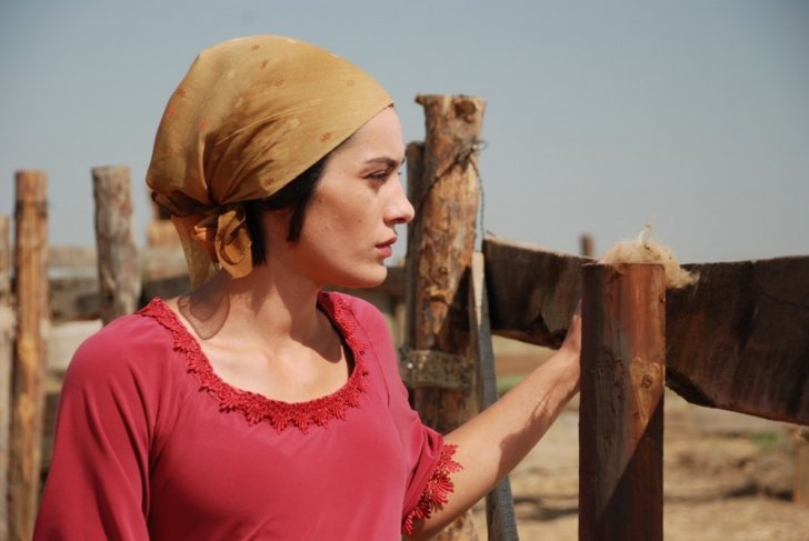 Azərbaycanlı rejissorun filmi beynəlxalq elmi konfransda