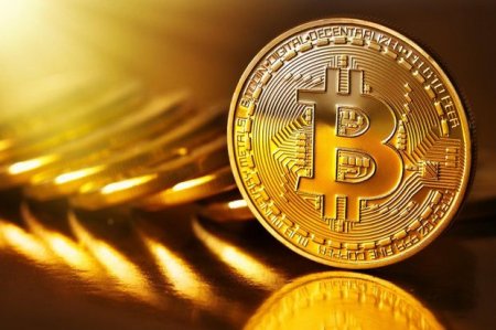 Bitkoinin əsas sərmayədarı kimdir? -