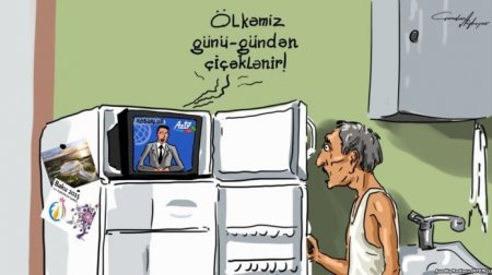 Dünya Bankı: "Azərbaycanda yoxsulluq səviyyəsi 24 faizdir"