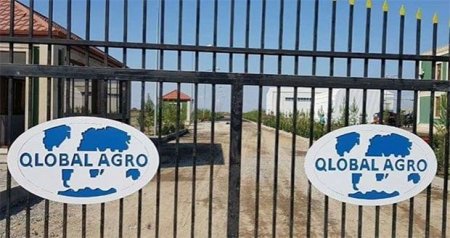 "Kölgə iqtisadiyyatı"nın "bani"ləri aqrar sektorda