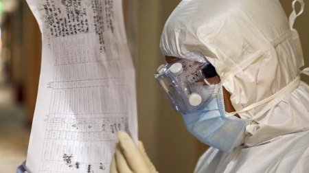 Koronavirus: onu ilk xəstəyə hansı heyvan yoluxdurub?