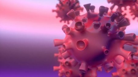 Koronavirus pandemiyası nə vaxt bitəcək? -