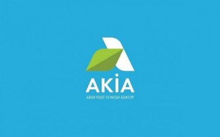 AKİA-nın daha bir tender müəmması
