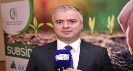AKİA “ayıların” dostudur, yoxsa kasıb fermerlərin?