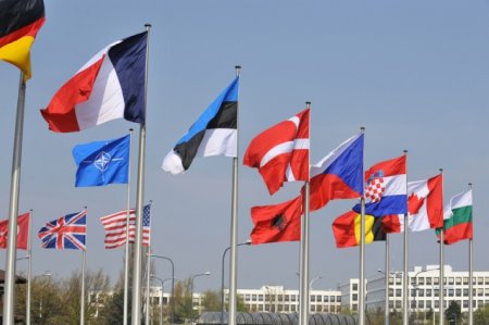 Beynəlxalq təşkilatlardan Azərbaycan hakimiyyətinə