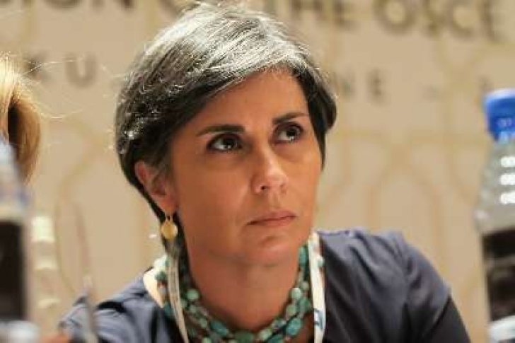 AP-nin insan hüquqları üzrə məruzəçisindən T.Yaqublunun həbsinə
