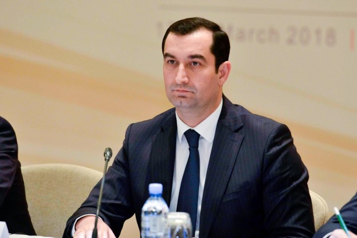 Gənc icra başçısı Tahir Məmmədovun dəbdəbəli villasının görüntüləri yayılıb - FOTOLAR
