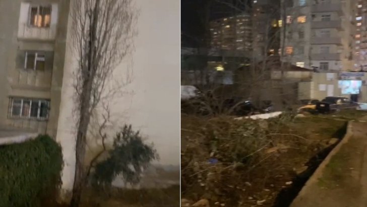 Yeni Yasamalın bu ərazisində ağaclar kəsildi - Yerində ticarət mərkəzi tikiləcək