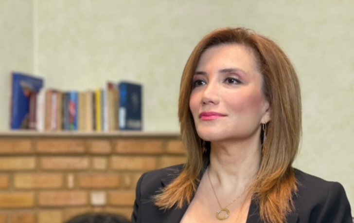 Gültəkin Hacıbəyli Türkiyədə saxlanılıb